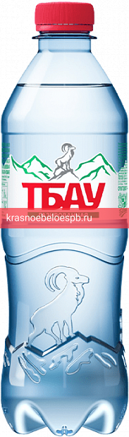 Фото 6 - МИНЕРАЛЬНАЯ ПИТЬЕВАЯ СТОЛОВАЯ ВОДА "ТБАУ" газ ПЭТ 0,5л 0.5 л